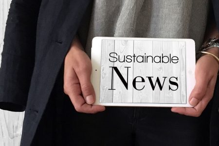 Neue Location für Greenshowroom